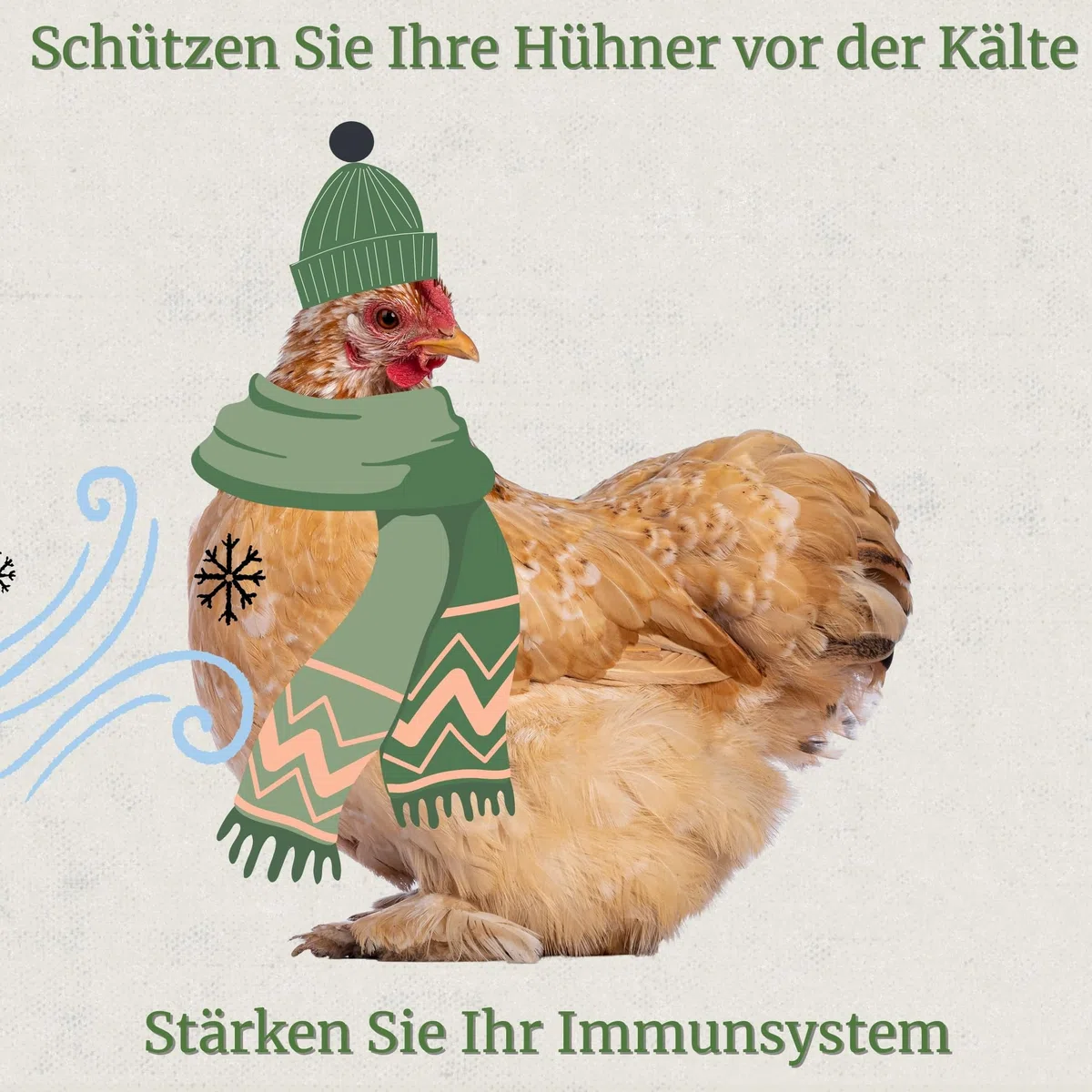 Broncare Respiratorischer Zusatz mit ADEC - 250 ml für Hühner, Geflügel und exotische Vögel - Mit ätherischen Ölen, Immunsystem- und Atemwegsstärkung - Enthält Echinacea, Minze und Rosmarin