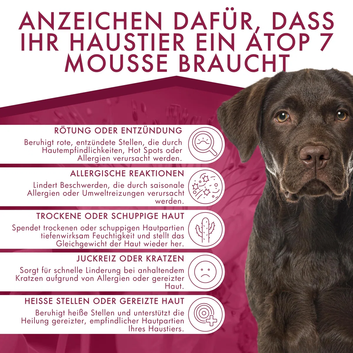 Trockenshampoo für Hunde und Katzen | Beruhigender Reinigungsschaum bei Juckreiz und Hautirritationen | Feuchtigkeitsspendende Pflege mit Omega 3 & 6 | ATOP 7 Mousse von Dermoscent
