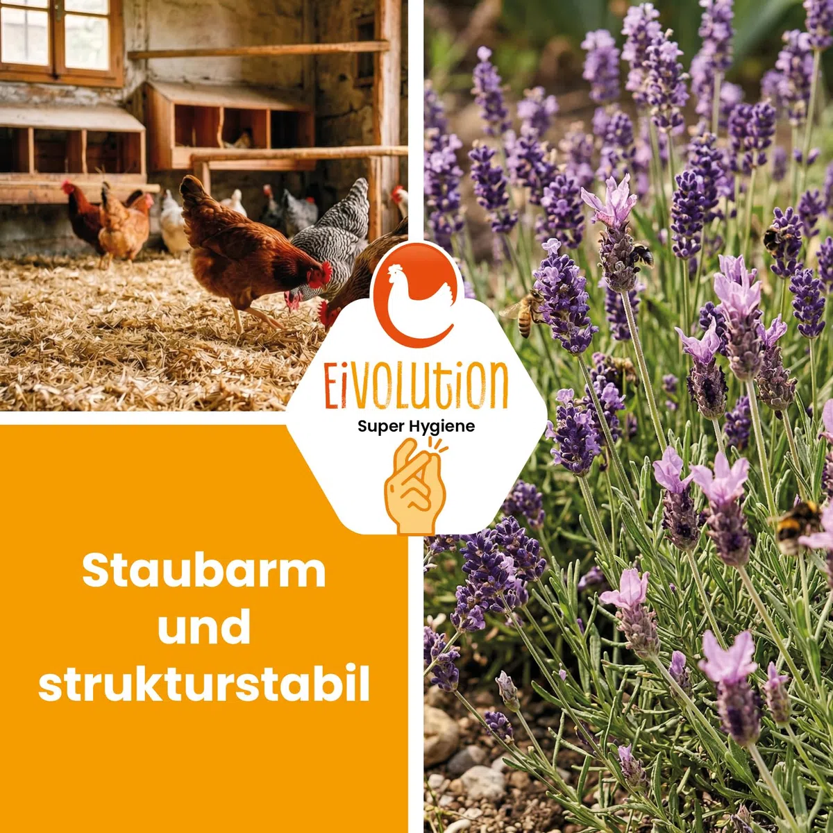 Hanfeinstreu mit Lavendel - 14 kg Ballen - staubarm, hohe Saugkraft, ca. 140 L Streuvolumen