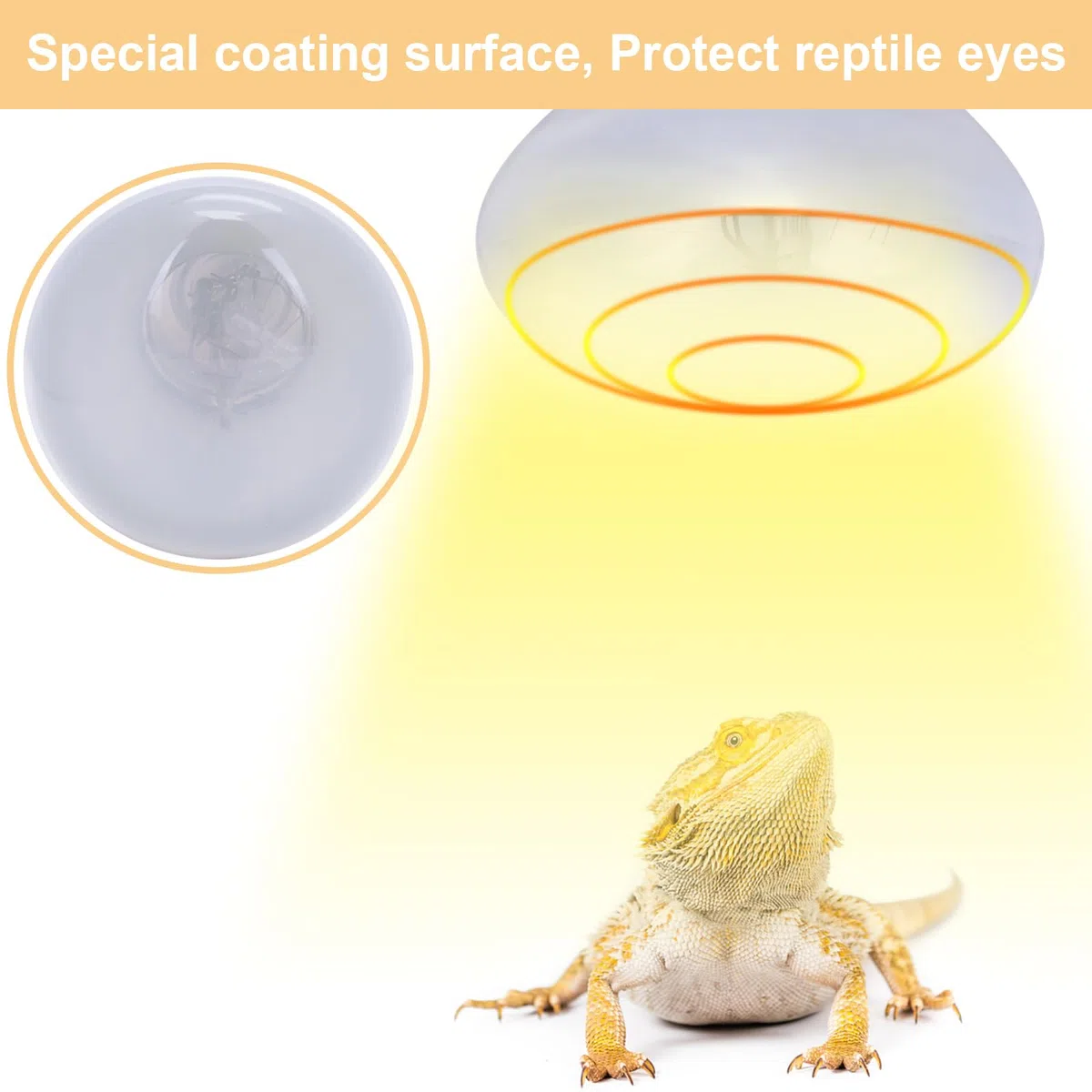 DERNORD UVA UVB Wärmelampe- 60W Quecksilberdampfkolben UV Licht Lampe für Schildkrötenhaus Gecko Bartagamen Terrarium Solar Strahler Vollspektrum Tageslichtlampe E27 Fassung