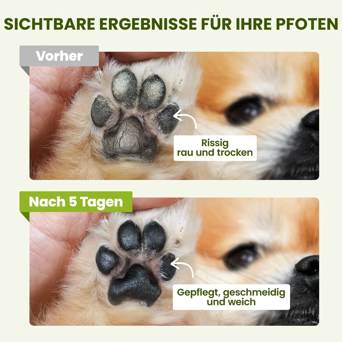 PawSono Pfotenbalsam Hund und Katze mit Kokosöl 60g | Sicher Ableckbar | 100% natürliche Pflege Pfotenpflege Nasenbalsam für Trockene, Rissige Nase und Pfoten | Hundepfoten Balsam Auch für Pferdehufe | Pfotenbalsam Hund und Katze mit Kokosöl 60g