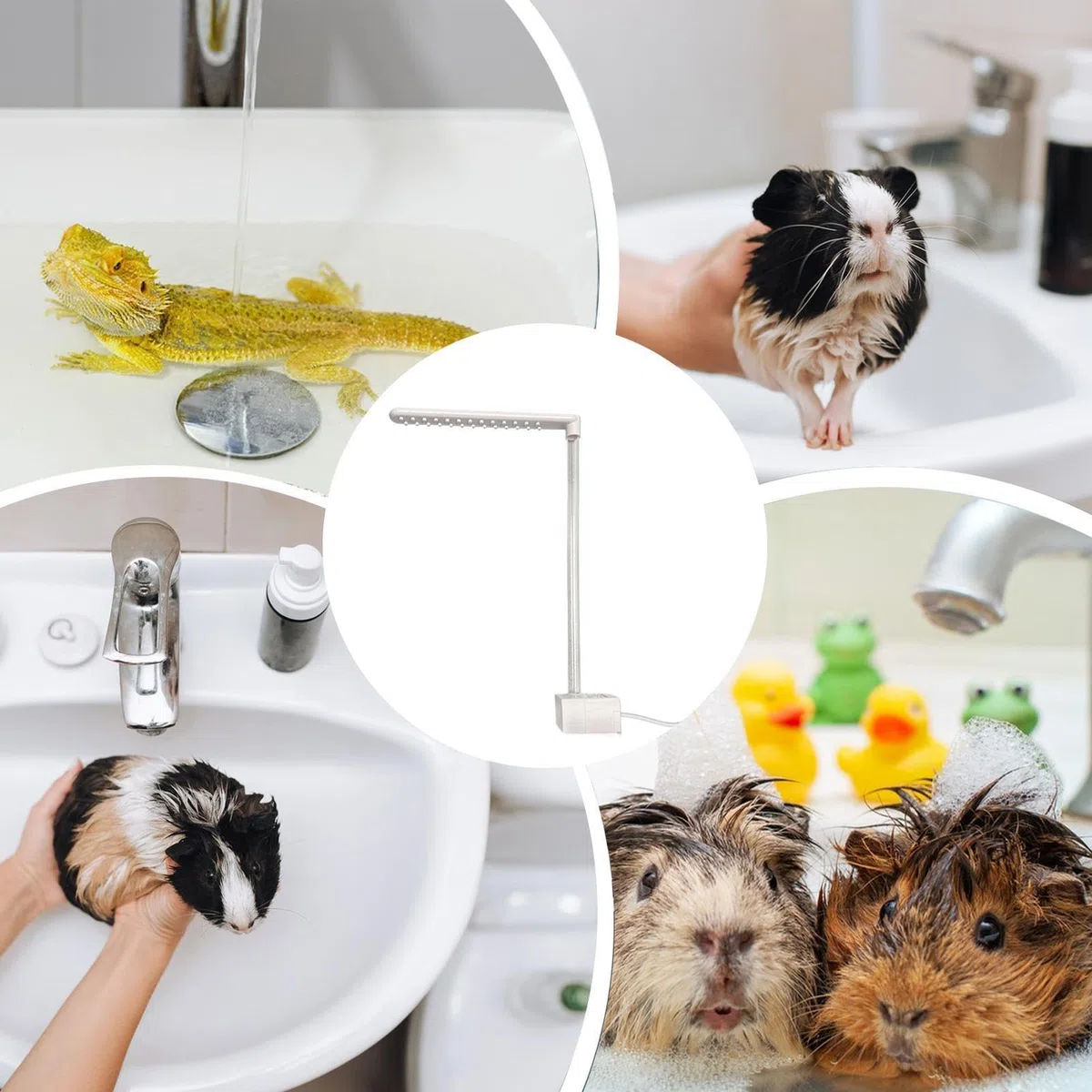 Generisch Badezubehör für Bartagamen – um 360 Grad drehbarer elektrischer Duschkopf, Reinigungswerkzeug, Pflegezubehör mit sanftem Wasserfluss für kleine Reptilien und Amphibien, Gl