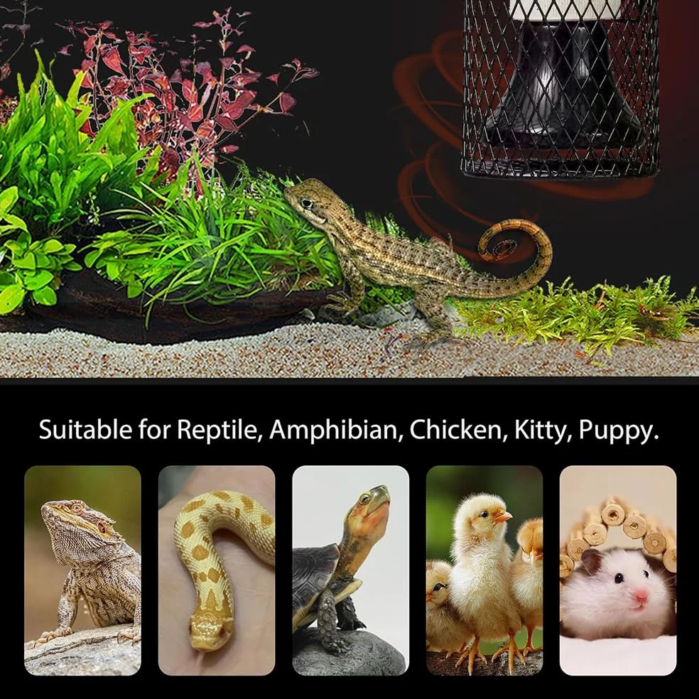 Reptilien Wärmelampe mit Schutzkorb, 2 Keramik Wärmelampen E27 mit Lampensockel Halter, Wärmelampe für Schildkröten, Einstellbare Temperatur, für Reptilien, Vögel, Chamäleon (50 W, Schwarz)