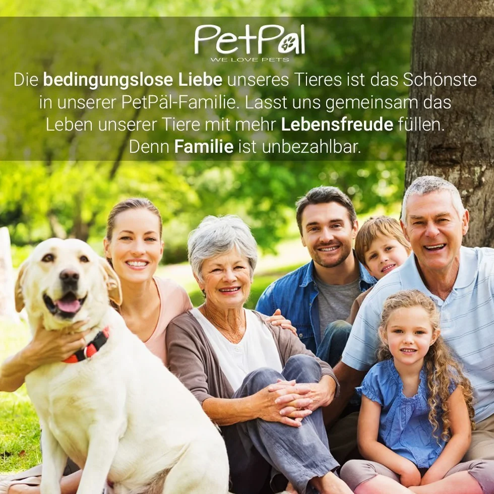 PetPäl Hunde & Katzen Unterwollbürste – Premium Bürste zur Fellpflege - Erleichtert den Fellwechsel – Massagebürste - Entfernt Unterfell & Verfilzungen – Ideal für Haustiere und Pferde