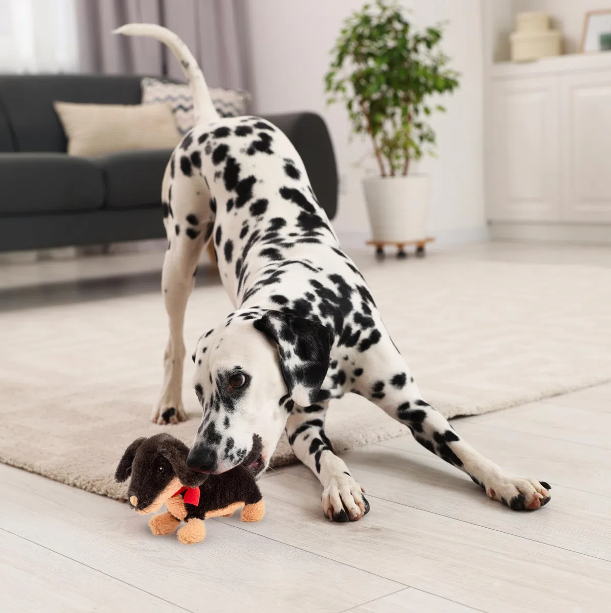 Fuzzl Sizzles der Dackel - Interaktives Hundespielzeug mit Quietscher, ideal für kleine und große Hunde, quietschendes Hundespielzeug