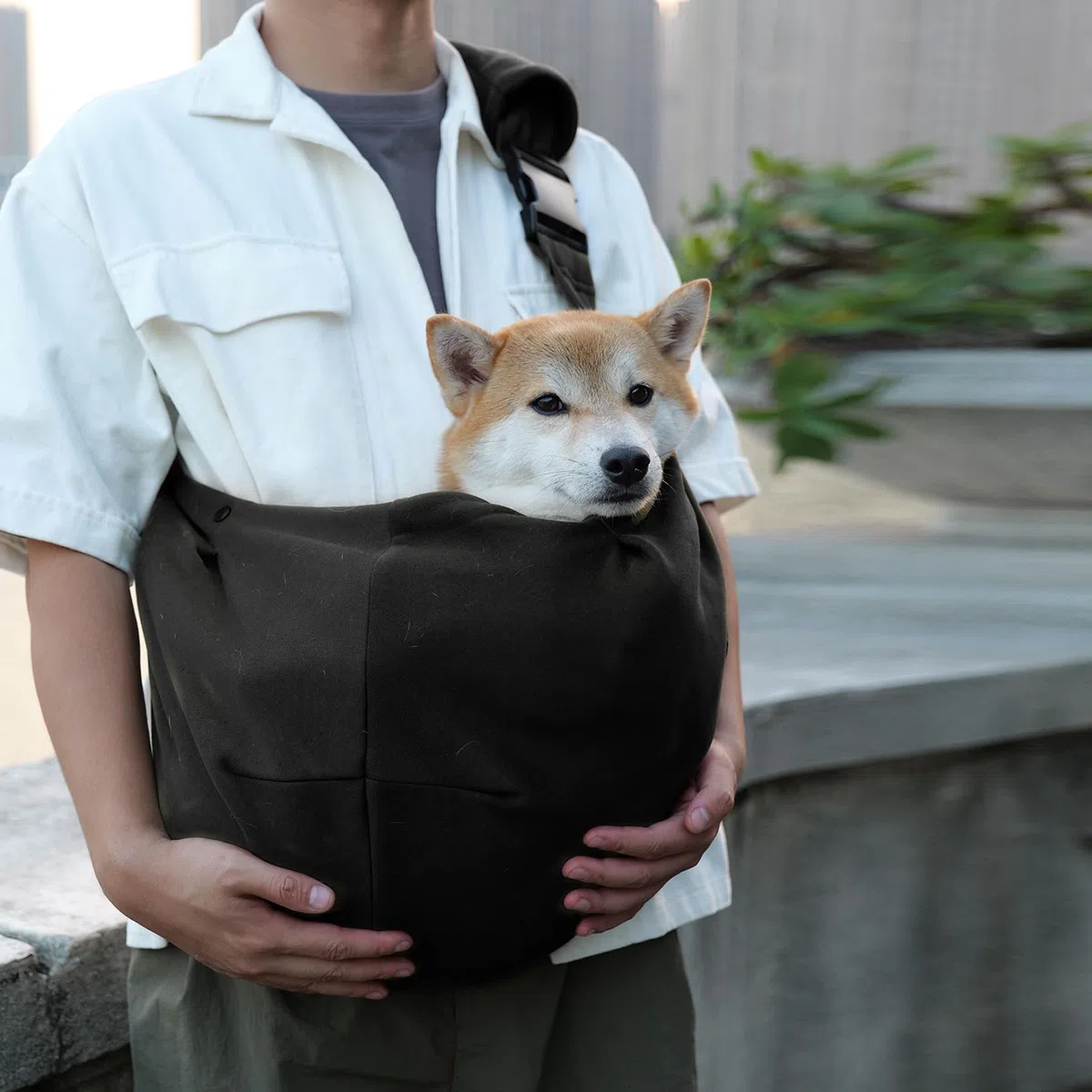 Valleycomfy Tragetuch Hund Haustier Hundetragebeute, Haustier Hundetasche mit verstellbarem, Hund Katze Hundetasche für Spaziergang Aktivitäten im Freien und Ausflüge, Tragekraft bis 7kg(Schwarz)