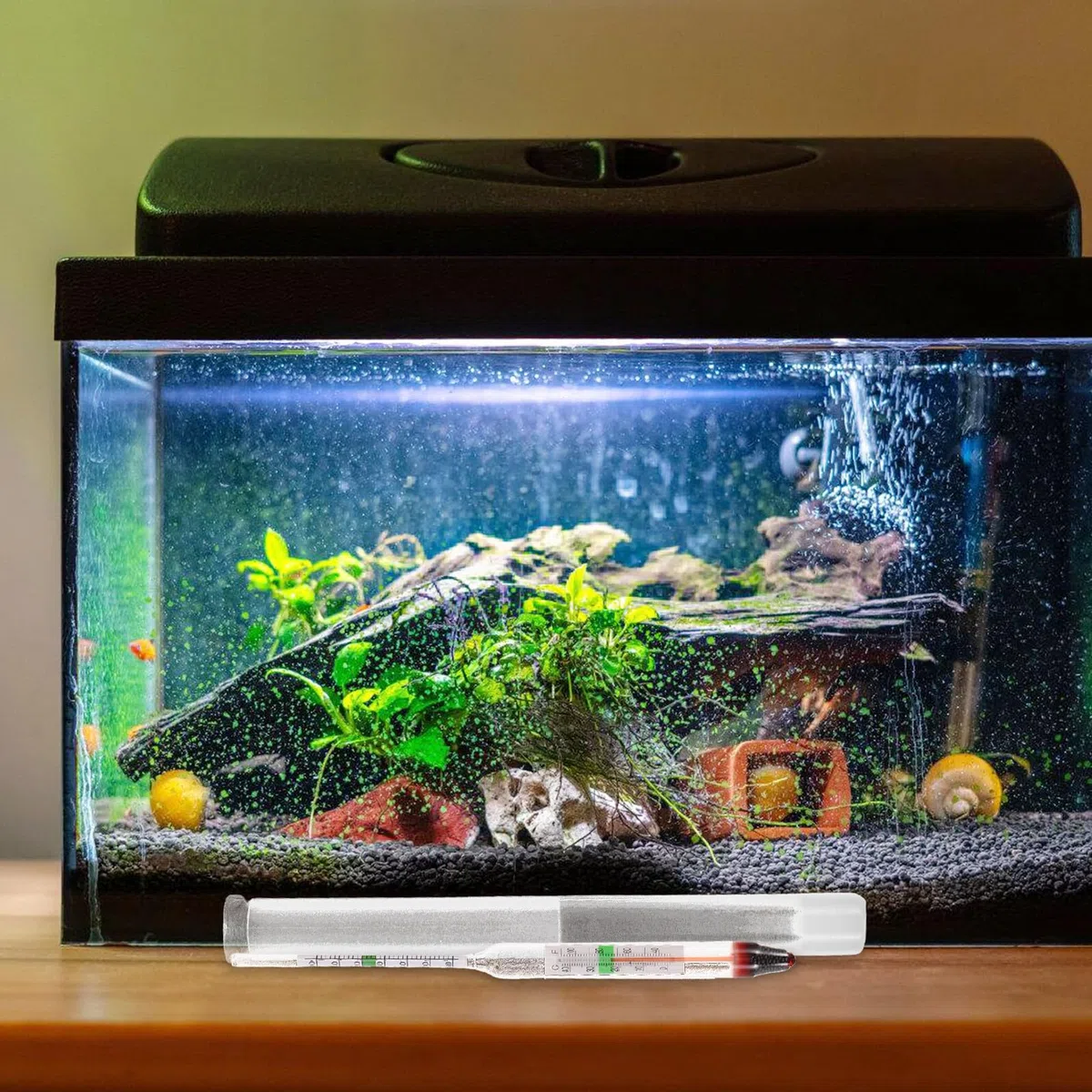 Healifty Meerwasser Salinitätsmesser Hydrometer aus Kunststoff und Glas Kompaktes Aquarium Hydrometer mit Präziser Sonde zur Genauen Dichtemessung für Fischbecken und Aquarien