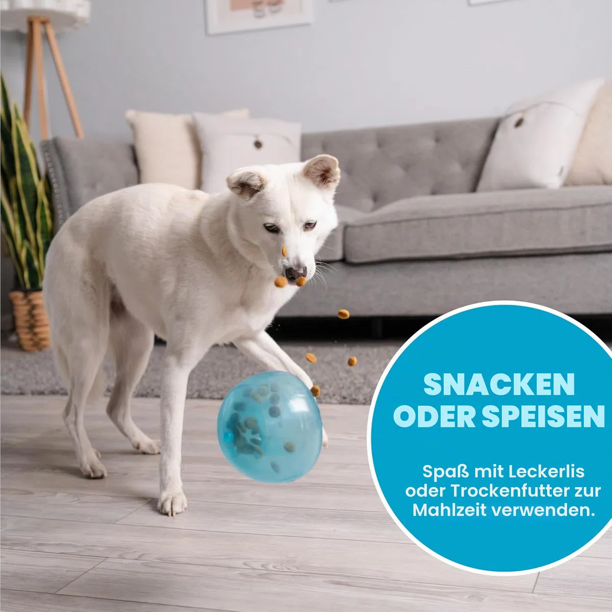 Planet Dog Orbee-Tuff Snoop - Interaktives Spielzeug für Hunde - Snackball - Blau - Groß