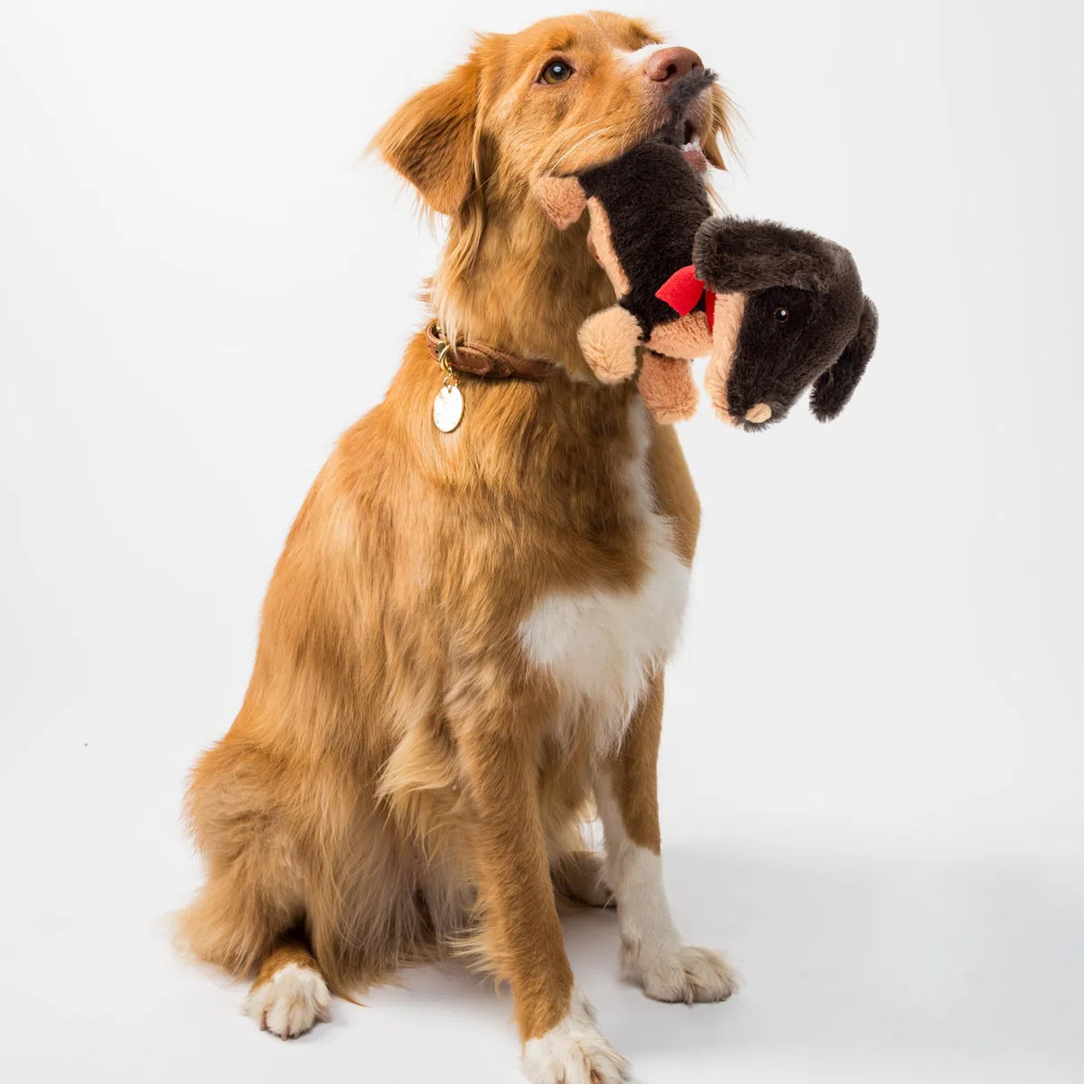 Fuzzl Sizzles der Dackel - Interaktives Hundespielzeug mit Quietscher, ideal für kleine und große Hunde, quietschendes Hundespielzeug