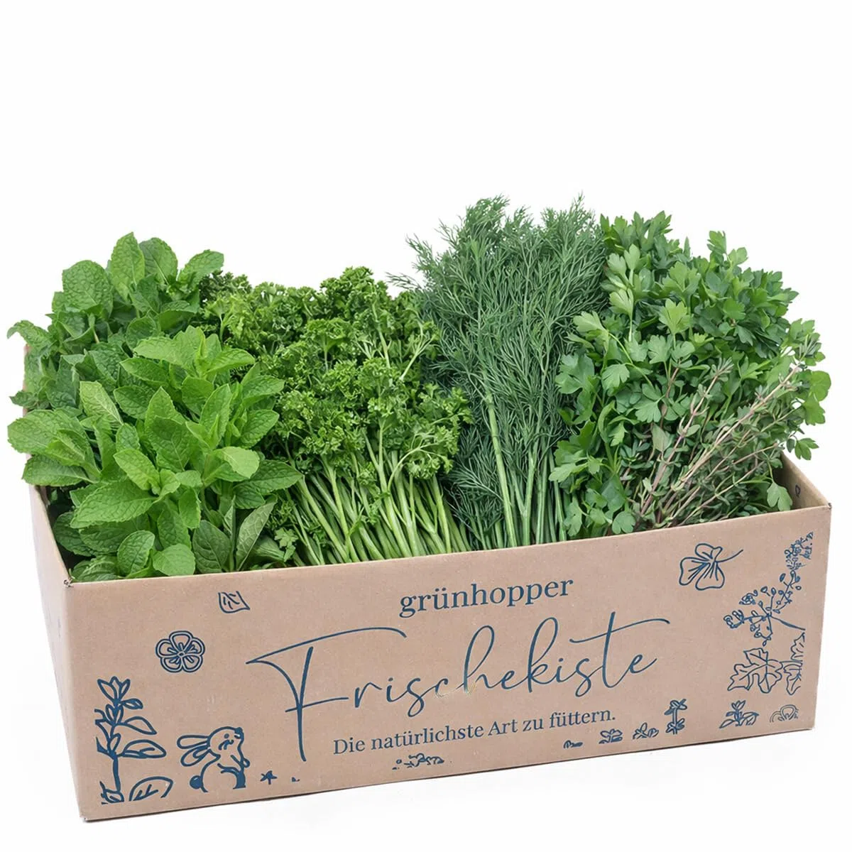 Frischekiste Gartenkräuter 1 kg