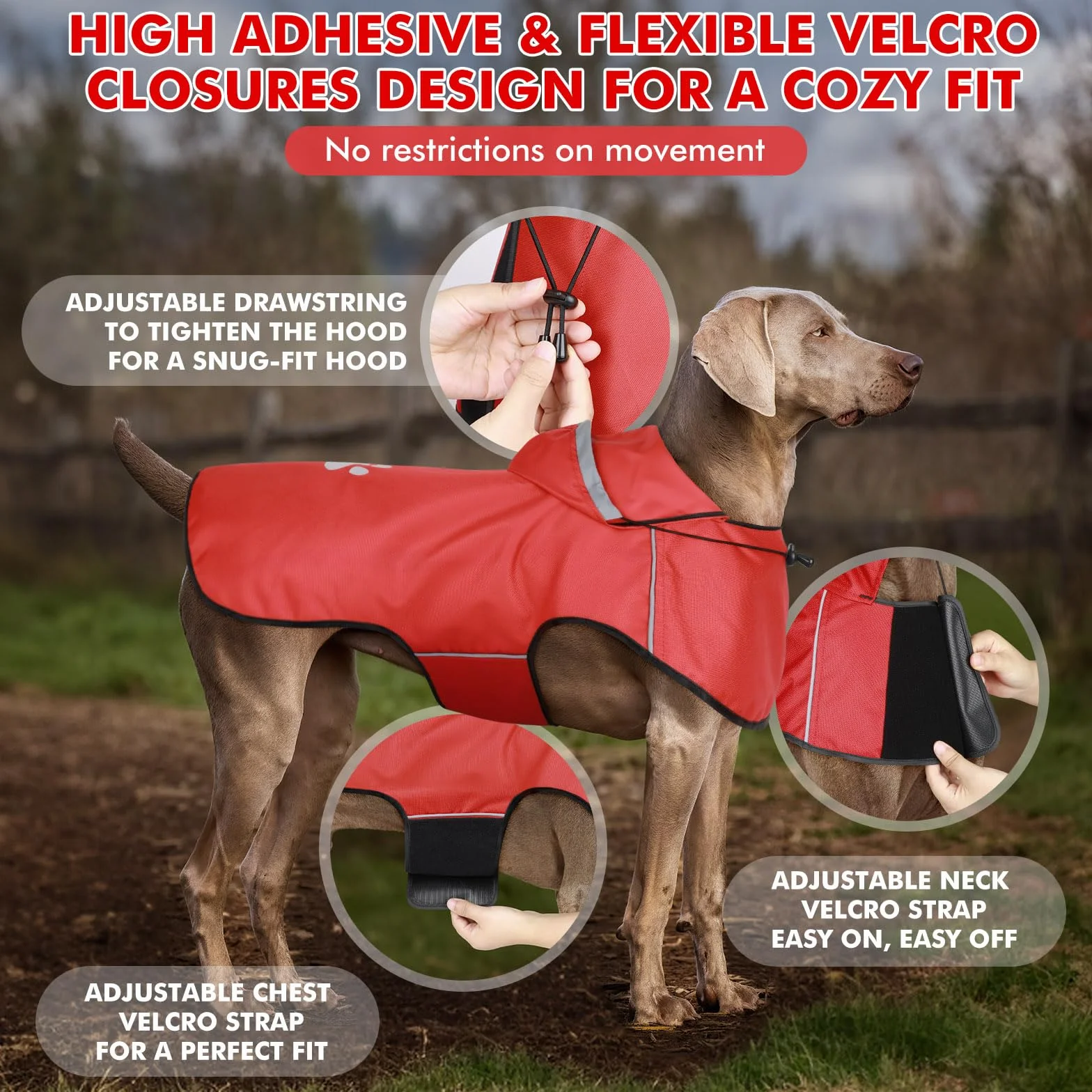 Hunde Regenmantel Kleine Hunde, Verstellbarer Regenjacke mit Klettverschluss - Ultraleicht & Wasserdicht Hunderegenmantel mit Reflektierenden Kapuze für Spaziergänge (S | Rot)