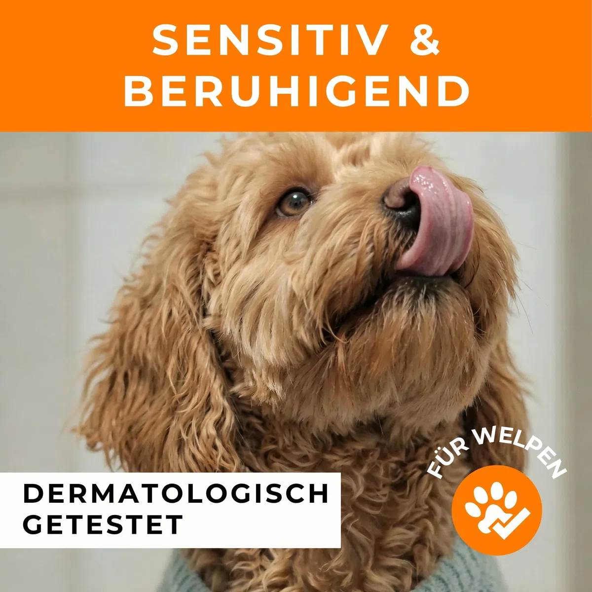 Testnote: Sehr gut - Hundeshampoo sensitiv mit Sanddorn - Fellpflege gegen Juckreiz & Geruch - 100% vegan & natürlich - für glänzendes Fell & Vitale Haut - 250ml