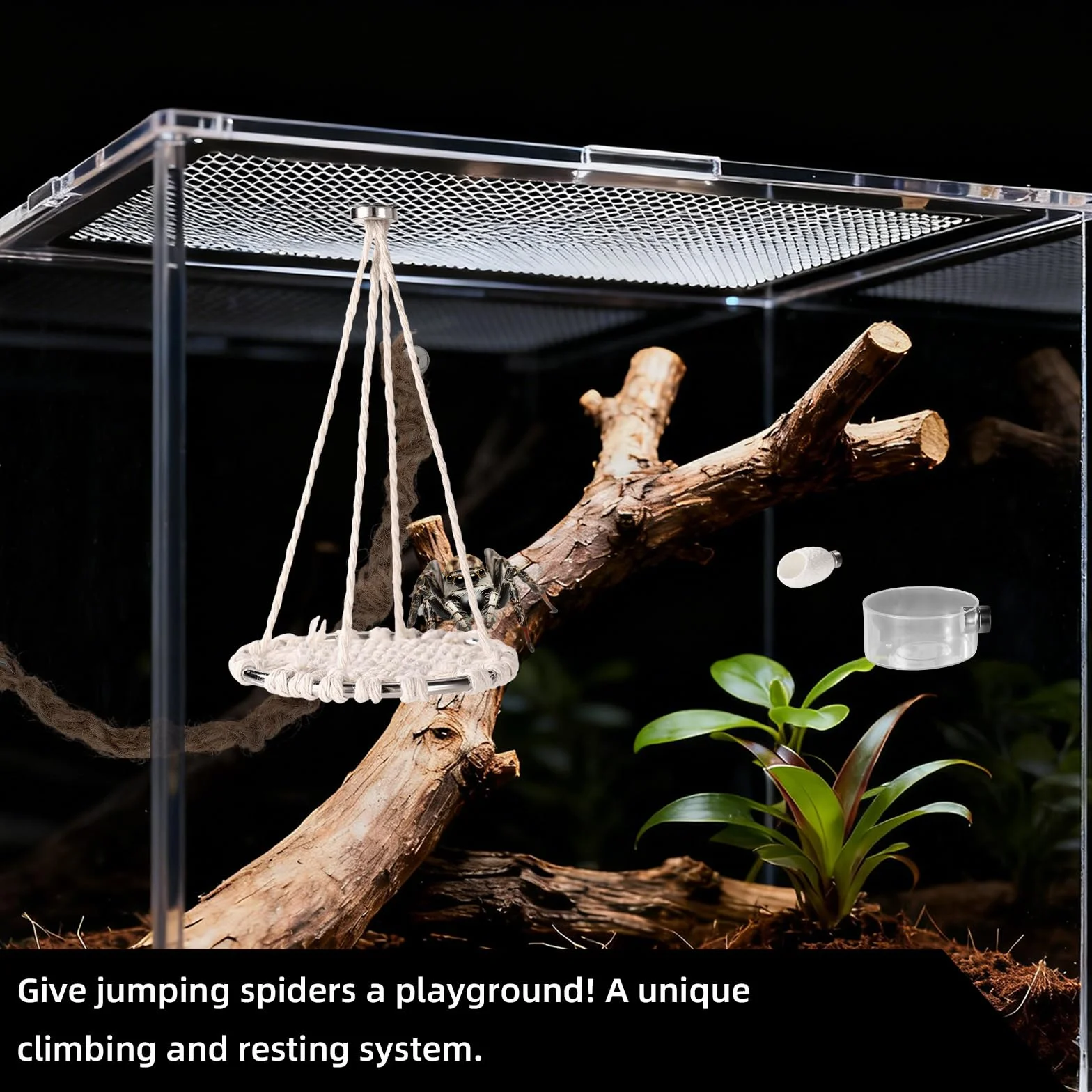 18stk Springspinne Zubehör für Terrarium Set, Bestehend aus Baumwollseilschaukel Plattformschaukel mit Nest Wasserschale Pinzette Sprühflasche Bürste und Magneten für Springspinnen Terrarium