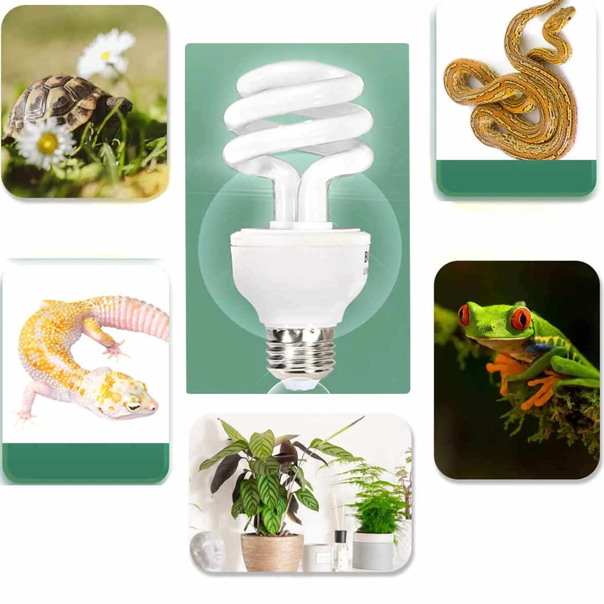 UVB-Lampen für Reptilien 5.0 Turtle Glühbirne für Wasserschildkröten Tropical Terrarium Lamps Energiesparende Kalziumergänzung für tropische Regenwald-Amphibien-Schlangenechse (UVB5.0 26W)