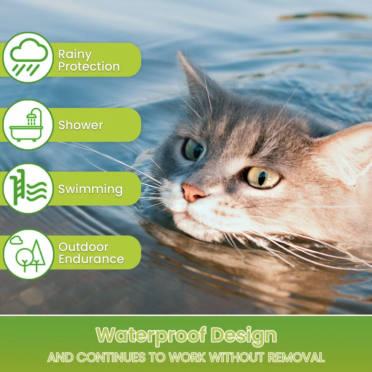 Katzenhalsband 2er Set mit pflanzlichen Ölen, 16 Monate Langzeitpflege, wasserfest, größenverstellbar, für Katzen und Kätzchen ab 7 Wochen
