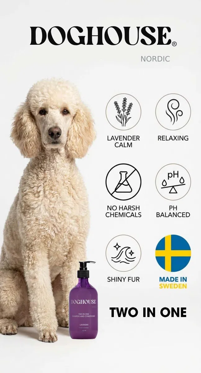 2-in-1 Lavendel Hundeshampoo und Spülung – 500ml: Beruhigendes, veganes Shampoo für weiches, glänzendes Fell und empfindliche Haut – Ideal für Hundepflege und Fellpflege (Lavendel)