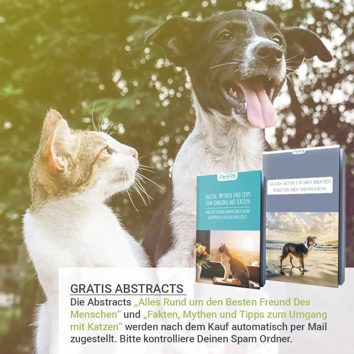 PetPäl Hunde & Katzen Unterwollbürste – Premium Bürste zur Fellpflege - Erleichtert den Fellwechsel – Massagebürste - Entfernt Unterfell & Verfilzungen – Ideal für Haustiere und Pferde