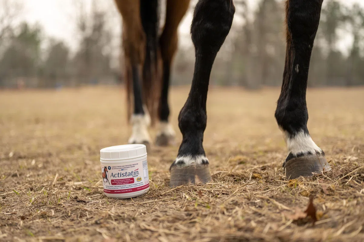 Actistatin Equine 2.05 pound (928g) Equine Powder