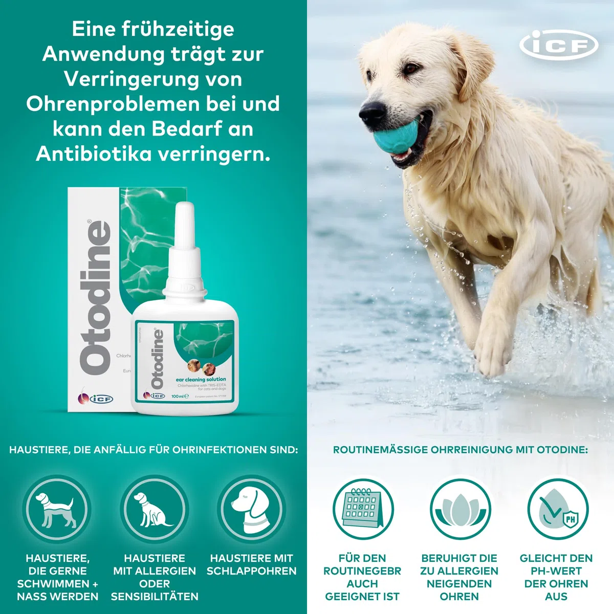 Otodine Ohrenreiniger Hund, Hund Ohrentropfen stoppen Ohren Entzündungen und Juckreiz, Haustier Ohrreiniger für Hunde und Katzen, Hundeohrreinigungslösung, Hundeohrschmalz, Schmutz, Geruchsentferner