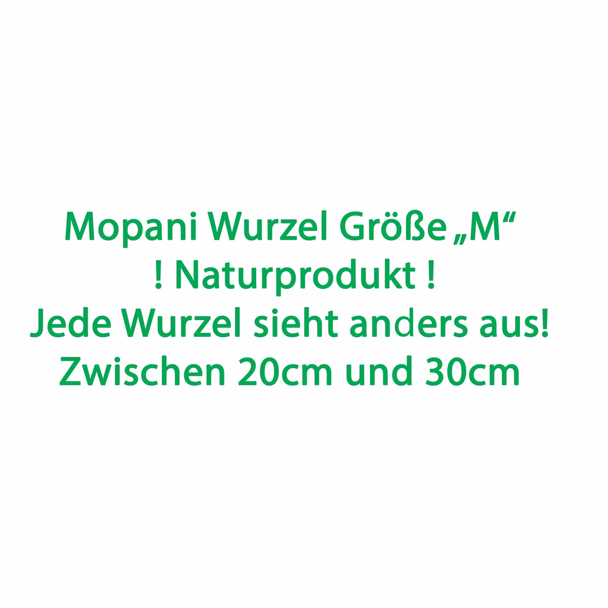 Mopani Wurzel Größe M // Echtholzwurzel Aquariumdekoration Garnelen Zierfische Hard Scape 20cm - 30cm (Mangrove Savanna) Aquascaping Terrarium Wohnraum Deko