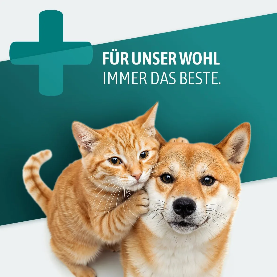 AniGo Heilmoor für Hunde 1,3kg – Verbessert die Kotbeschaffenheit, Optimale Verdauung, Immunsystem, Magen-Darm-Aktivität, Appetit Anregung I Natürliche Heilerde Moor für Hund