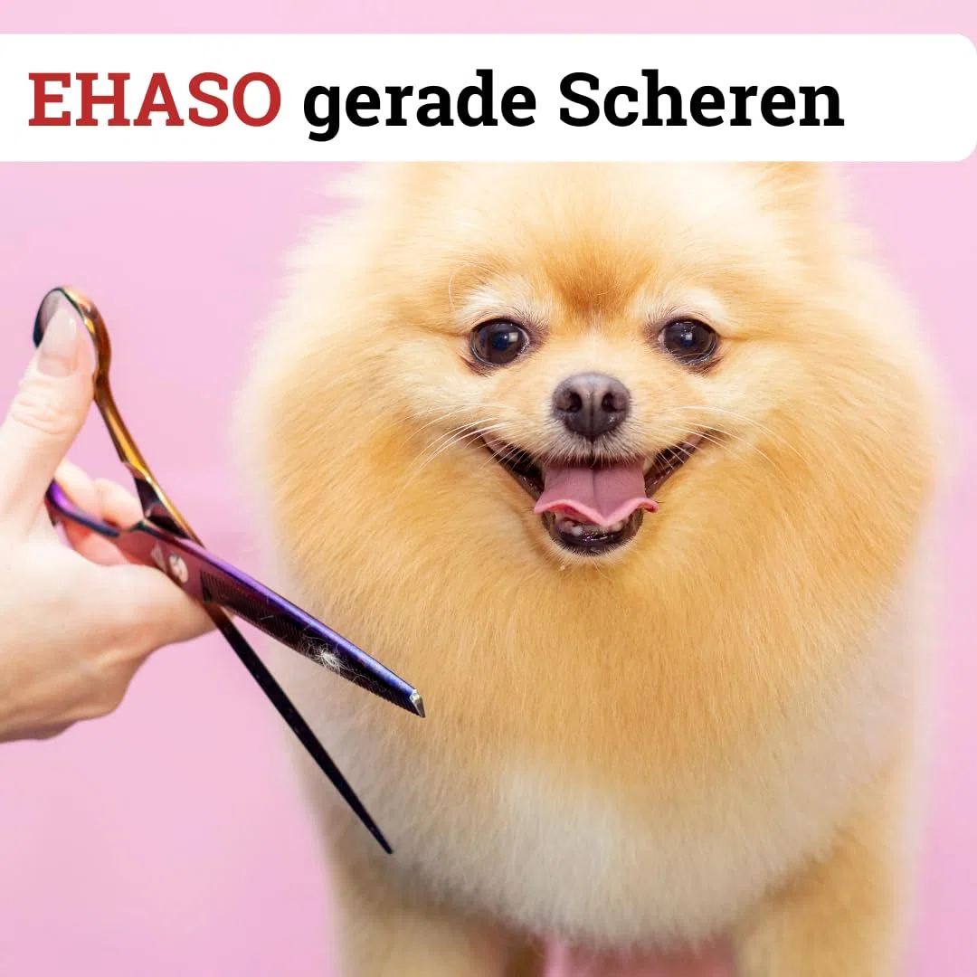 EHASO Hochwertige Gerade Hundeschere aus Titan - Rostfrei & Langlebig - 20 cm - Fellschere für Hunde - Profischere für Jede Art von Fell direkt Solingen