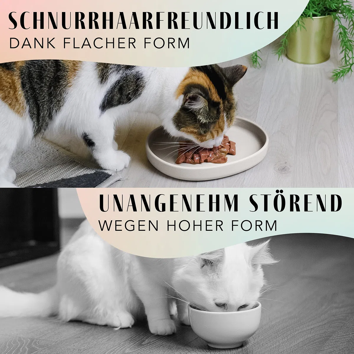 ne&no Futternapf für Katzen [nala Collection] Futterschale Katze flach | Katzennapf | Silikonnapf breit | Fressnapf | Silikon Napf Katze | Katzenfutter Teller