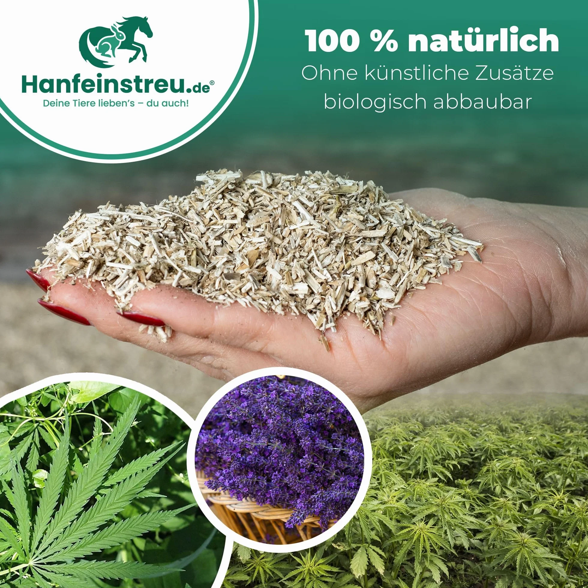 Hanfeinstreu mit Lavendel für Kleintiere, Hühner und Pferde, 30 Liter, 100% Naturprodukt, Extrem Saugfähig, Staubarm, Geruchsbindend, Nachhaltig und Langlebig