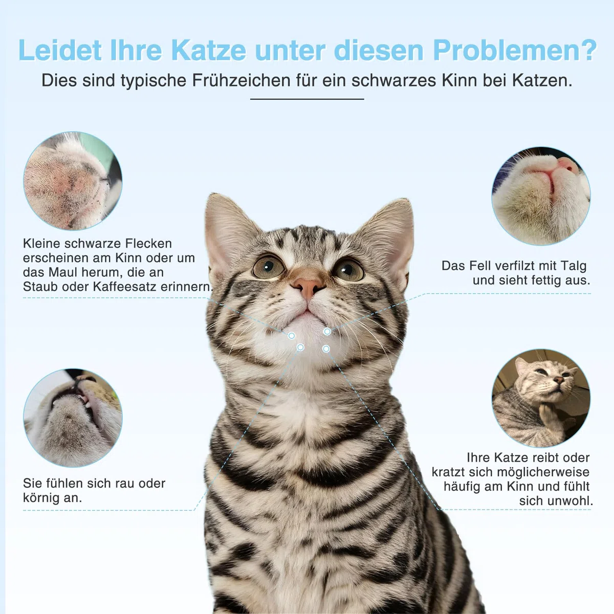 Katzen Mitesser Schaumreiniger mit Bürste 100ml – Sanfte, hypoallergene Unterkieferpflege, entfernt Schwarze Punkte & Pickel, beruhigt Akne, für alle Katzenrassen, ohne Ausspülen