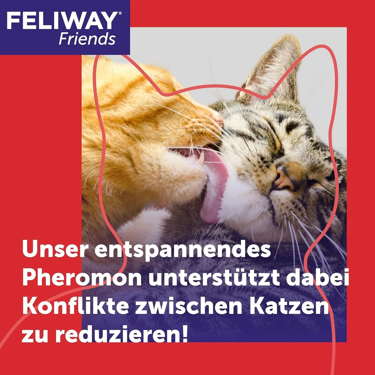 FELIWAY Friends | 60 Tage Wirkung | Pheromone für Katzen | Verdampfer für die Steckdose + 2x 48ml Flakon | Diffuser gegen Stress, für mehr Harmonie | von Tierärzten empfohlen, klinisch getestet
