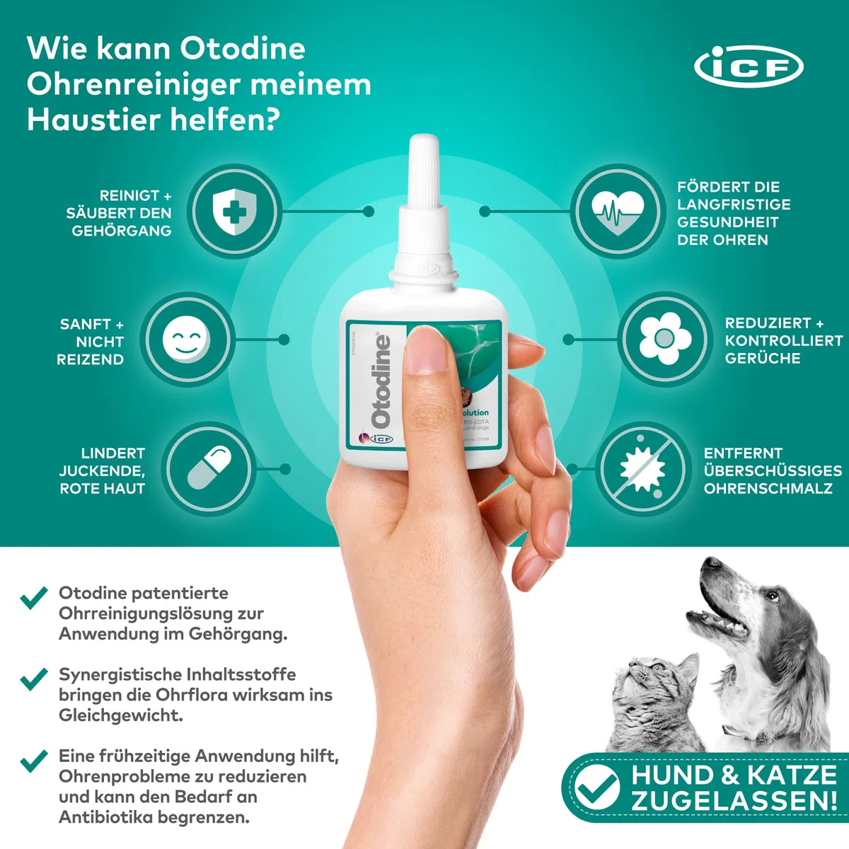 Otodine Ohrenreiniger Hund, Hund Ohrentropfen stoppen Ohren Entzündungen und Juckreiz, Haustier Ohrreiniger für Hunde und Katzen, Hundeohrreinigungslösung, Hundeohrschmalz, Schmutz, Geruchsentferner