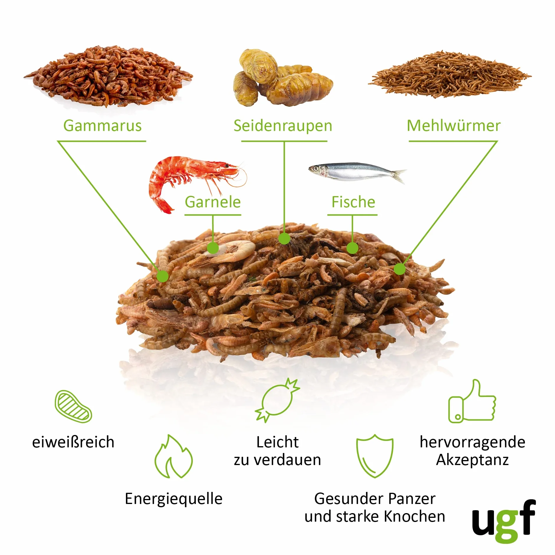 UGF - Universal Schildkröten Futter Mix - 500g im 3 Liter Eimer, Ausgewogenes Schildkrötenfutter, Gammarus, Seidenraupen, Mehlwürmer, Garnelen und getrockneter Fisch, Wasserschildkröten Futter