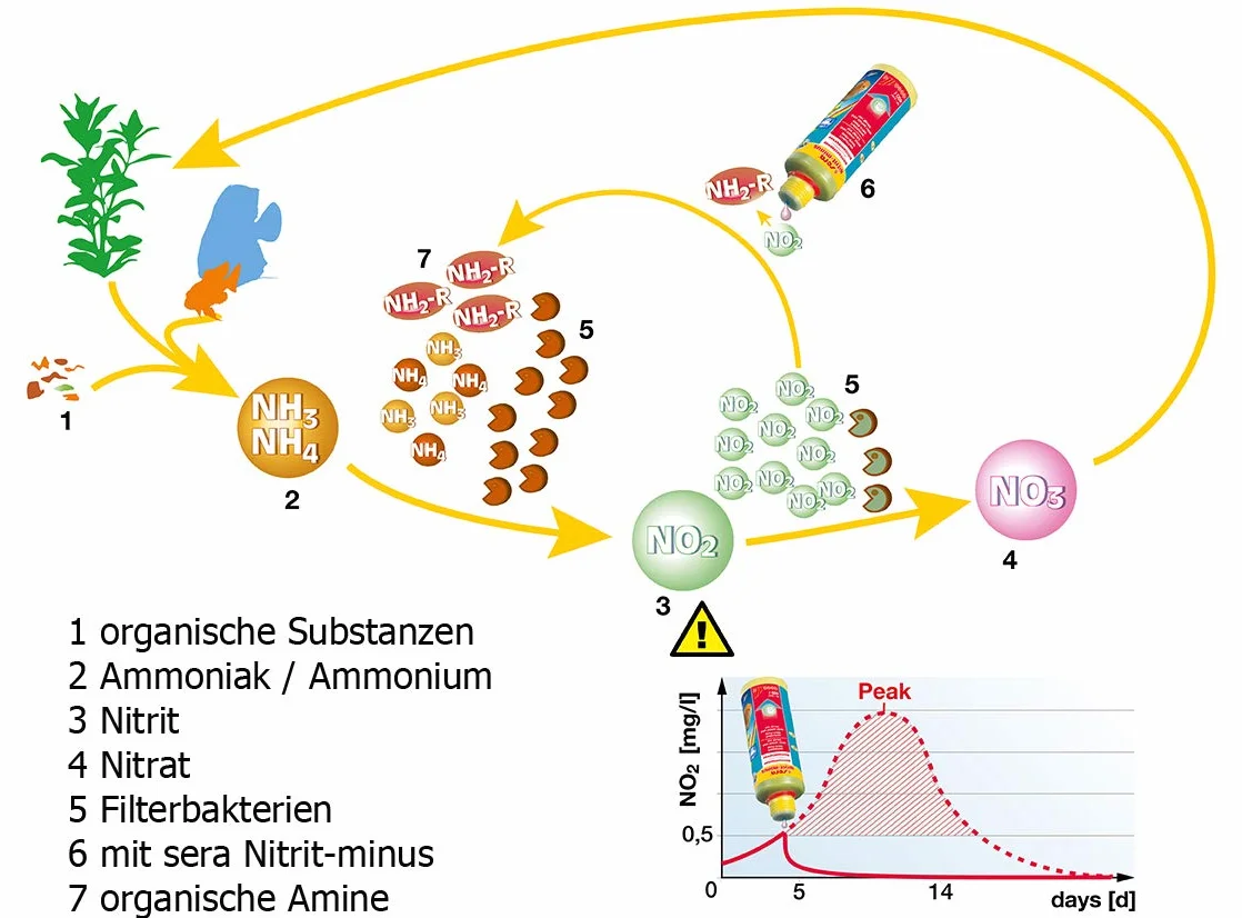 sera Nitrit-Minus 500 ml | Nitritentferner für Aquarium | Soforthilfe bei Nitritpeak | Nitrit bis 1,5 mg/l reduzieren | Sicher für Fische, Wirbellose & Pflanzen