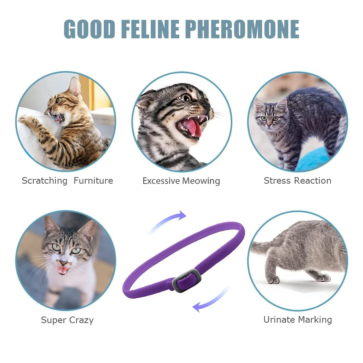 Collares para Gatos 2 en 1 – 2 Collares Antipulgas y Garrapatas + 1 Beruhigend mit Aceites Naturales, Ajustable y Confortable, Exclusivo y Económico, Protección y Relajación 24/7