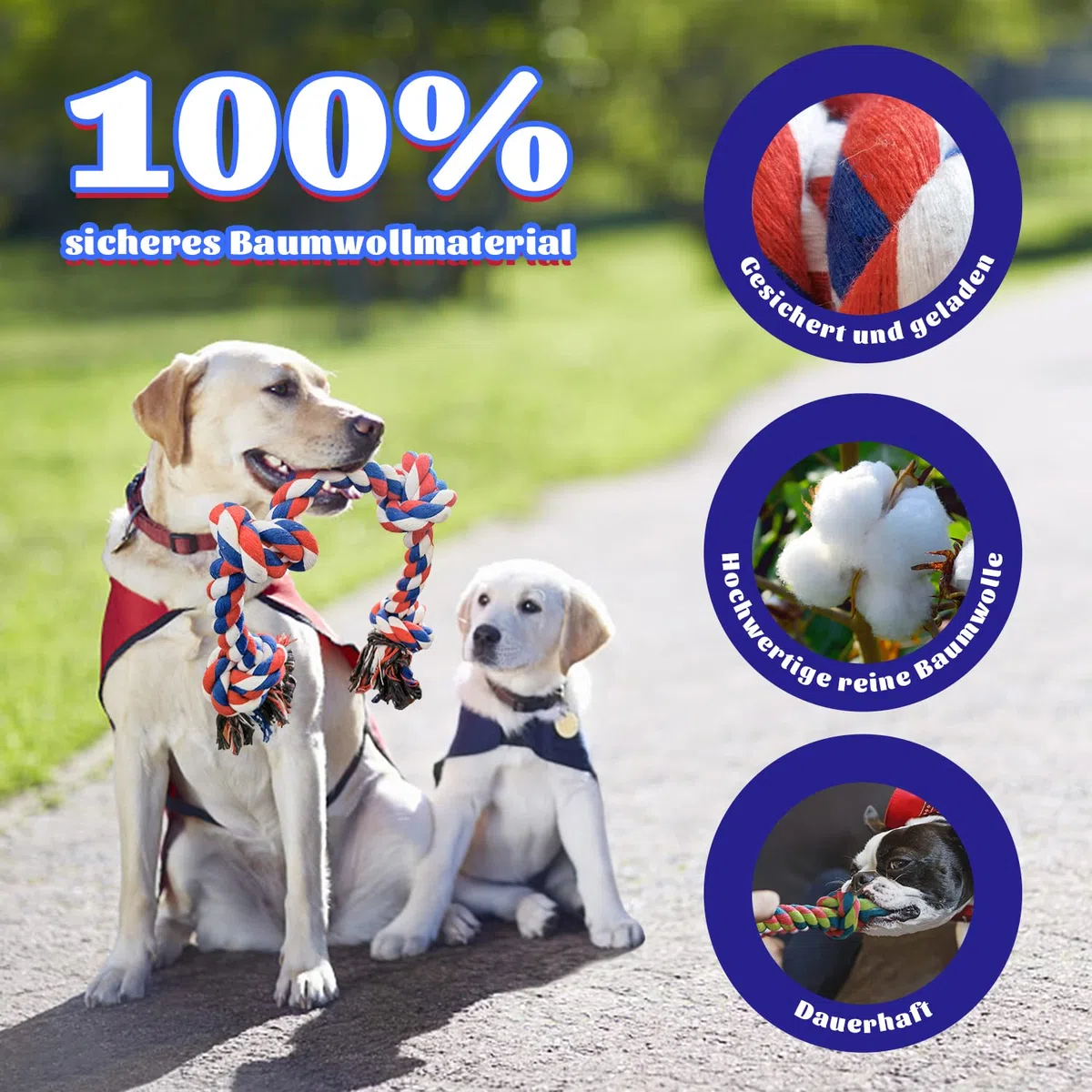 XL Hundespielzeug aus Seil (extrem langlebig und stark) für große und mittelgroße Hunde – extra großes Hundespielzeug für aggressive Kauer – Hundeball (5 Stück)