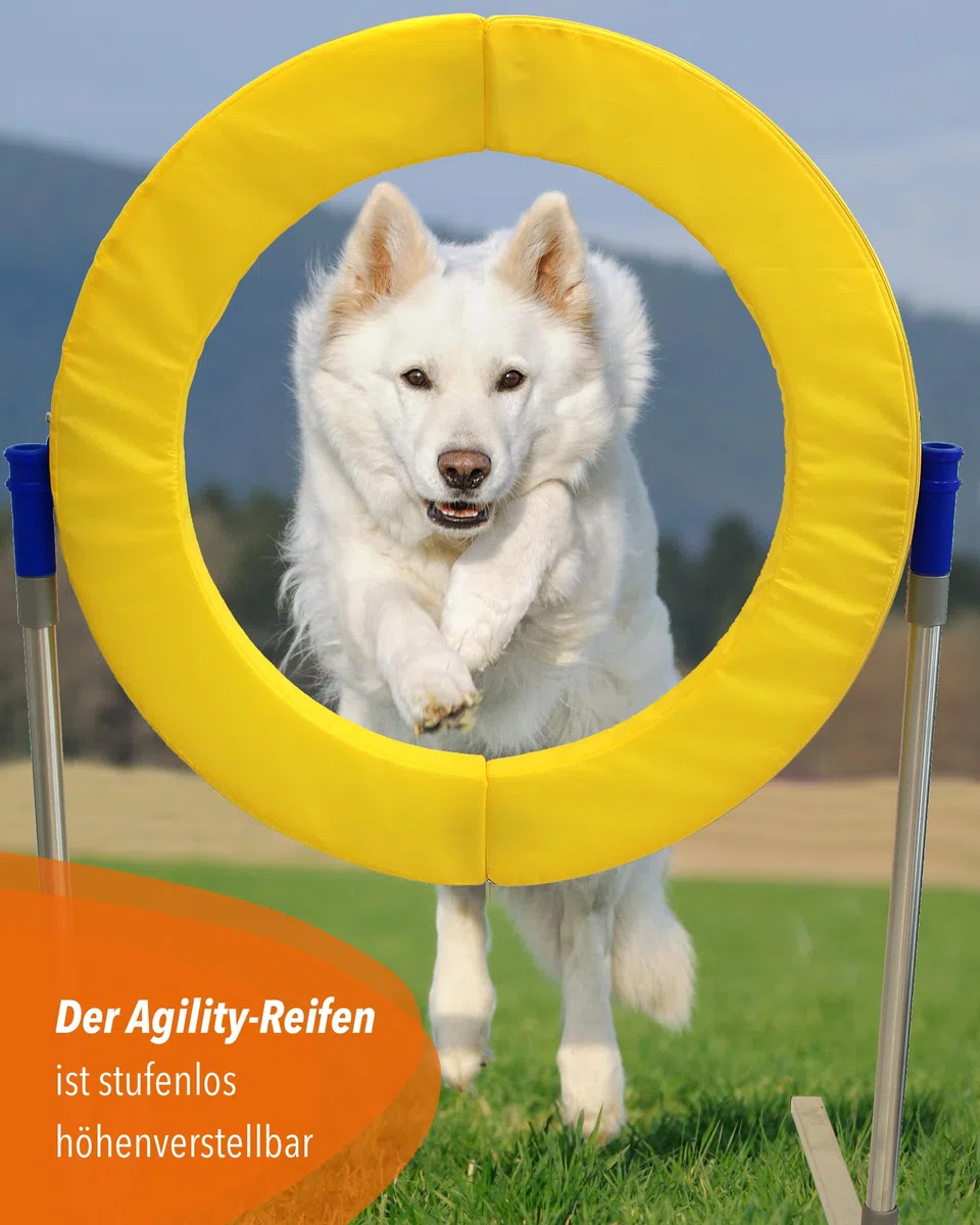 Safety Agility-Reifen – FCI-konform – mit Magnetverschluss & Schaumstofffüllung – höhenverstellbar & sicher – Agility-Training für Hunde