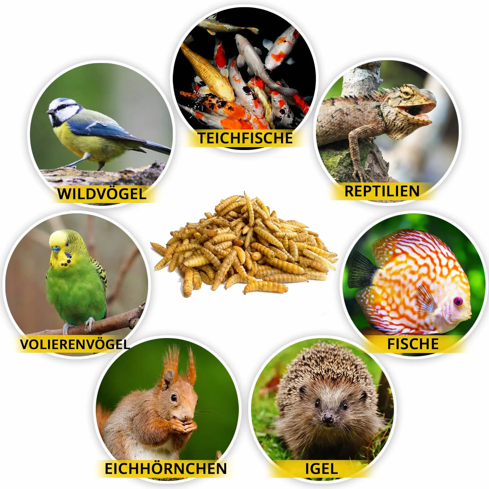 Soldatenfliegenlarven getrocknet 1kg (entspricht 13 Litern) PROTEINREICH | Ganzjähriger Insektensnack für Vögel, Fische, Schildkröten + Reptilien. MEERBACH & ROSE – Premium Qualität aus Deutschland