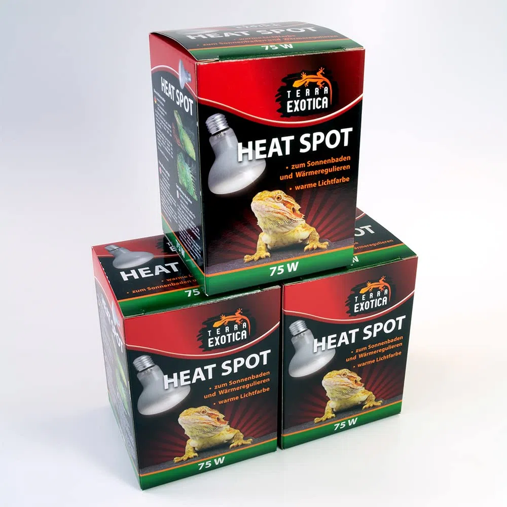 Terra Exotica Heat Spot 75 Watt -3er Pack- Wärmelampe für Reptilien - 25W, 40W, 60W, 75W, 100W, 150W - Terrarium Wärme Spotstrahler - Terrarienbeleuchtung (3, 75 W)