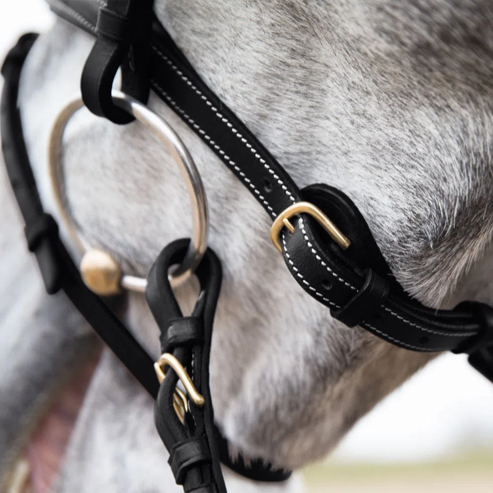 HORZE Pferde Trense Constance, Trensenzaum mit Zügel für Warmblut, Vollblut und Pony, Schwarz, XF