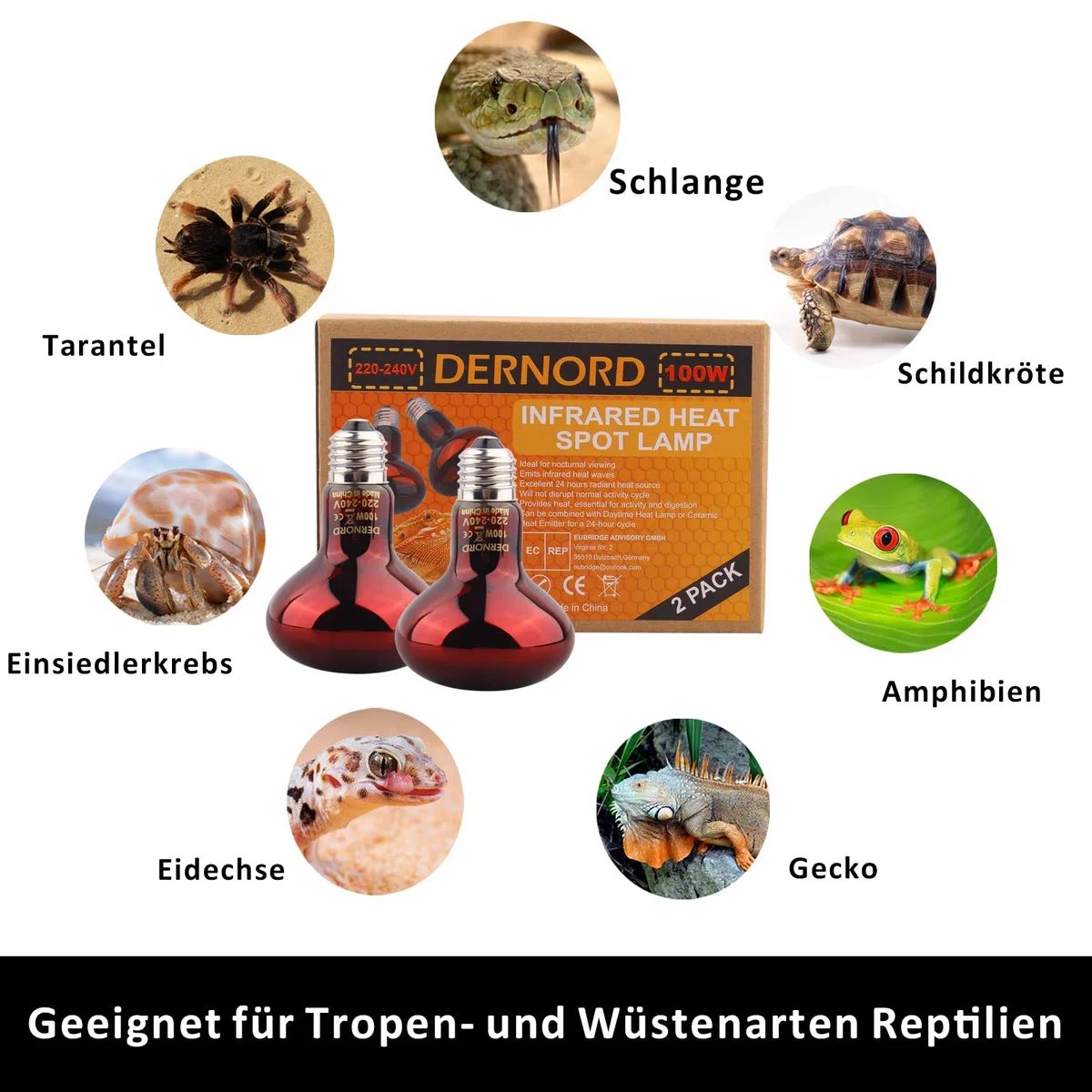 DERNORD Reptilien Rotlichtlampe Birne - 100 Watt R80 Infrarotlampe Rotlichtlampe Wärmelampe Tiere für Urzeitkrebse Schildkröten Vogelspinne Vivarium 2 Pack