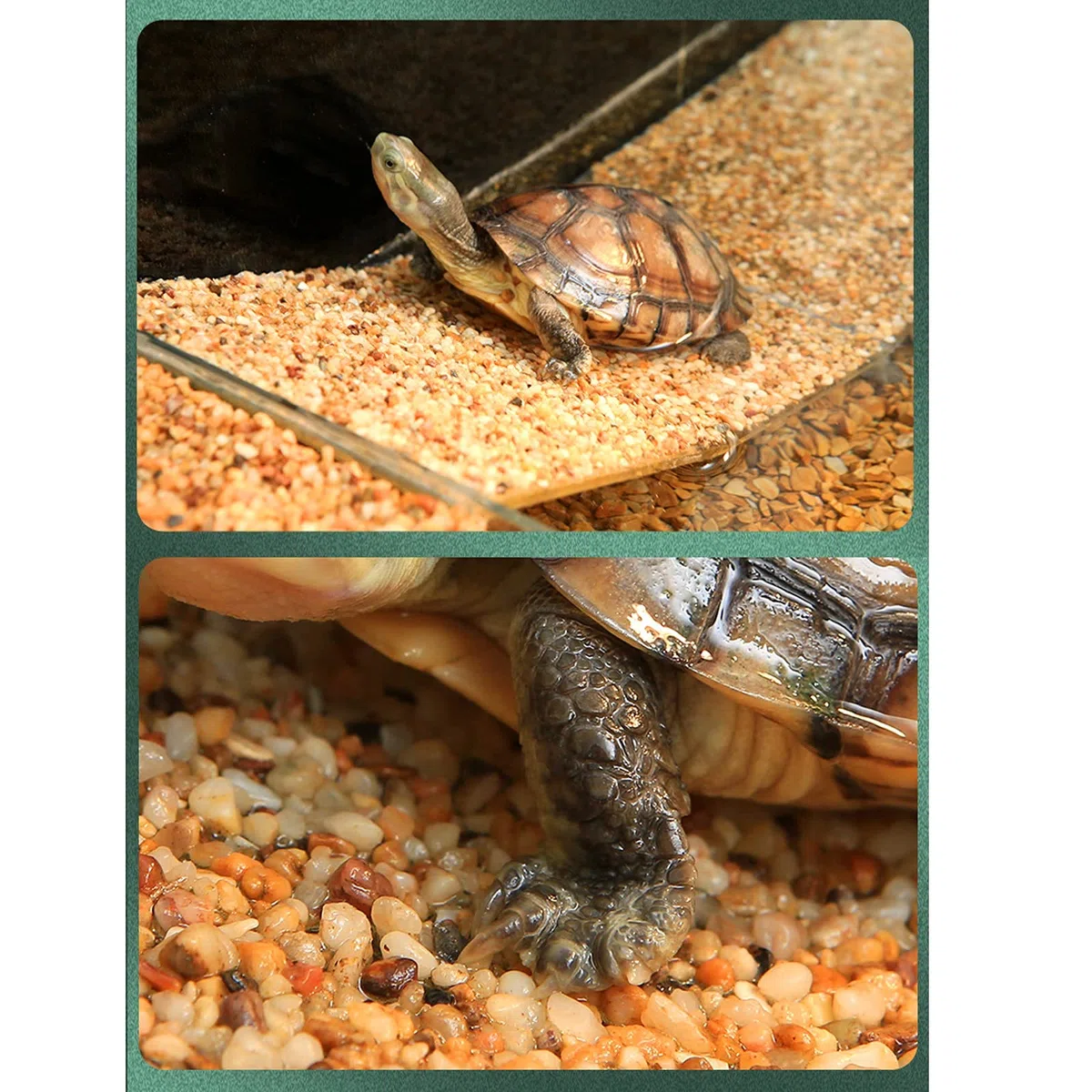 Schildkrötenpanzer Turtle-Tank mit Balkon, frei von Wasser Ersatz, Turtle-Tank ökologische Villa Schildkrötenkasten Bottom Row Turtle Tank Side Back Wasserfiltertank für drinnen und draußen ( Size : S