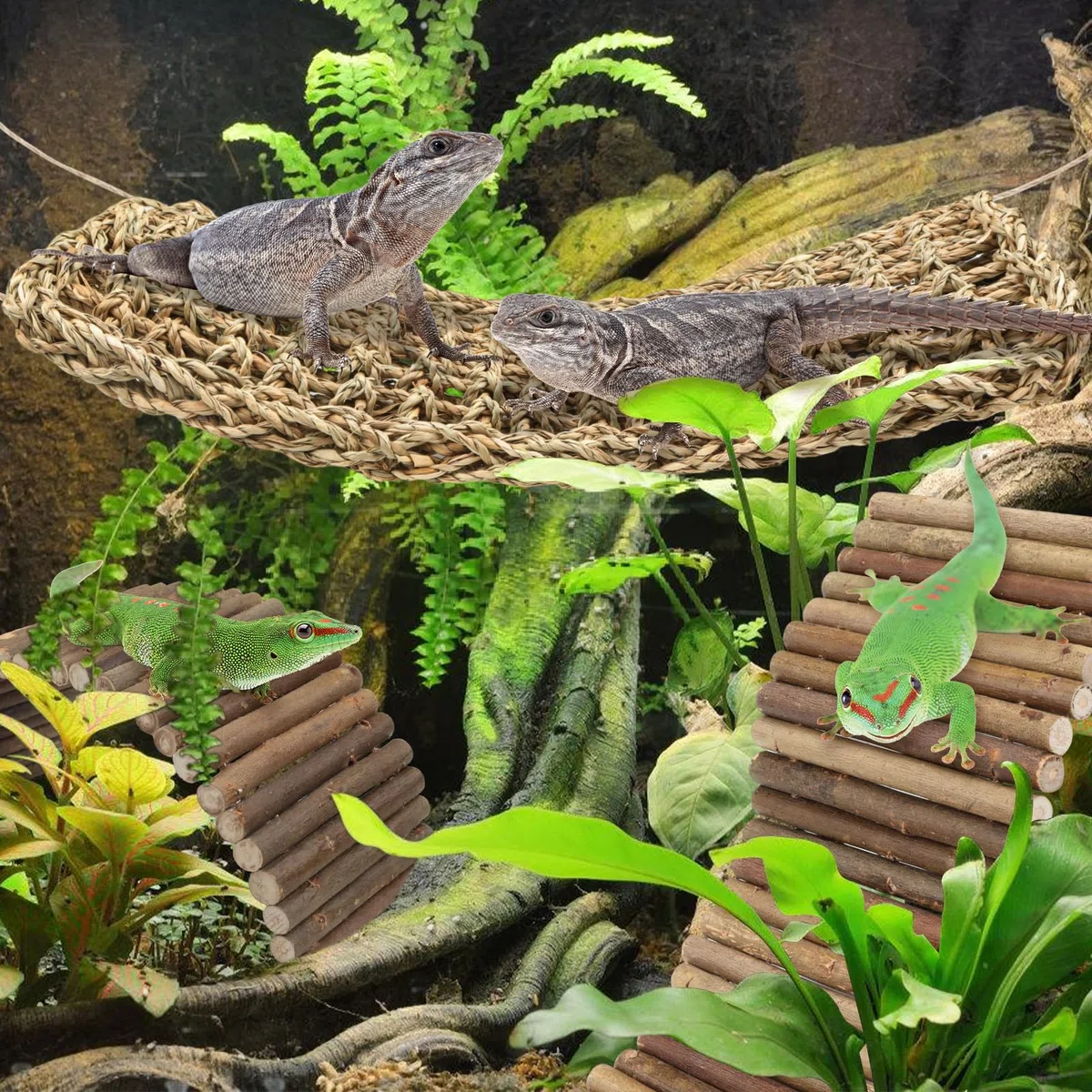 QUOZUO Bartagrachen Tankzubehör, Reptilien-Habitat-Hängematte, natürliches Seegras und Naturholz, biegbare Brücke zum Klettern, Einsiedlerkrebse, Eidechse, Mäuse, Spinnen, Schildkröte, Schlange