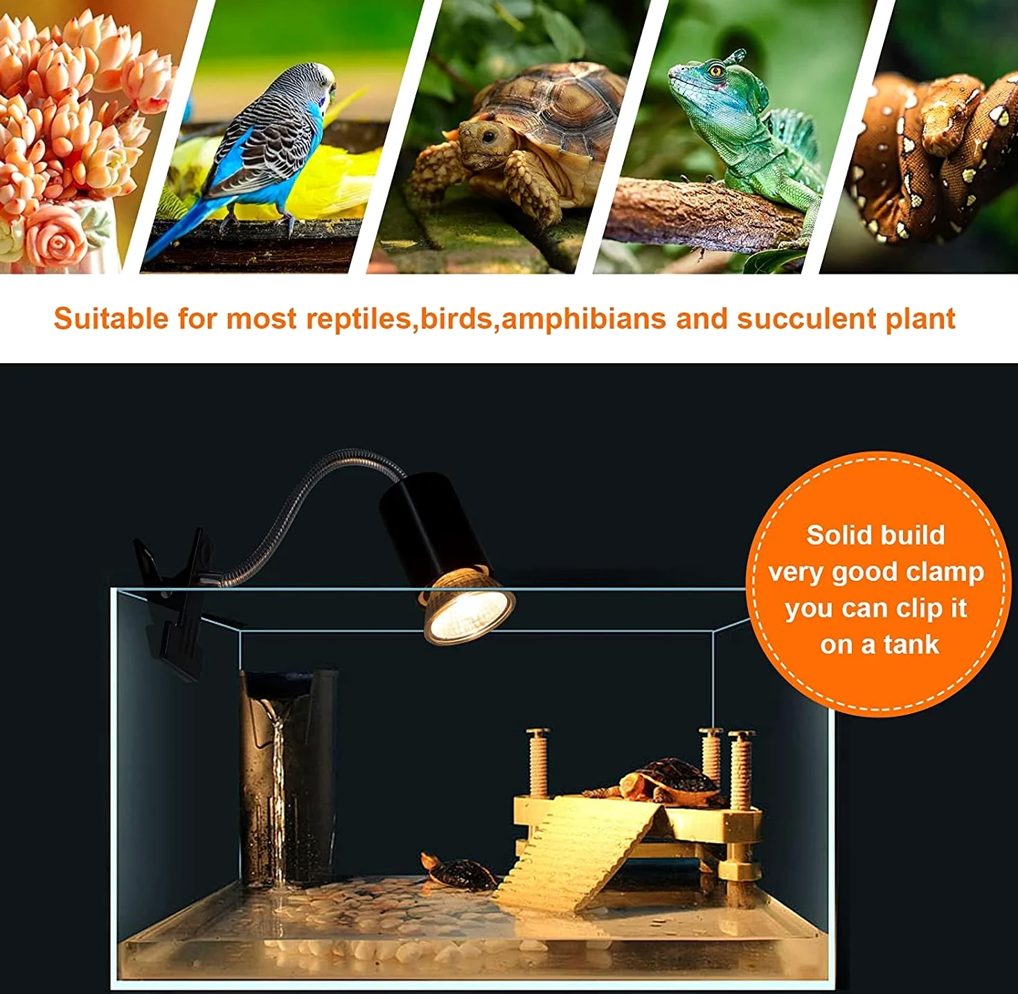 Aquarium UVA UVB Lampe Wärmelampe Terrarium Schildkröten Zubehör Reptilien Heat Lamp E27 25W 50W für Schildkröten, Bartagamen, Eidechsen, Reptil 2 Stück Heizlampe