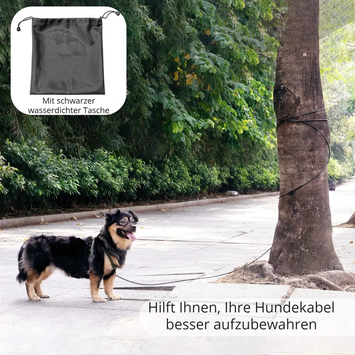 Haustier-Anleinseil für Hunde bis zu 125 Pfund, 6m Hundeleine für den Garten, strapazierfähige Lange Hundeleine mit PVC-Beschichtung, Hundegeschirr für draußen beim Camping Schwarz