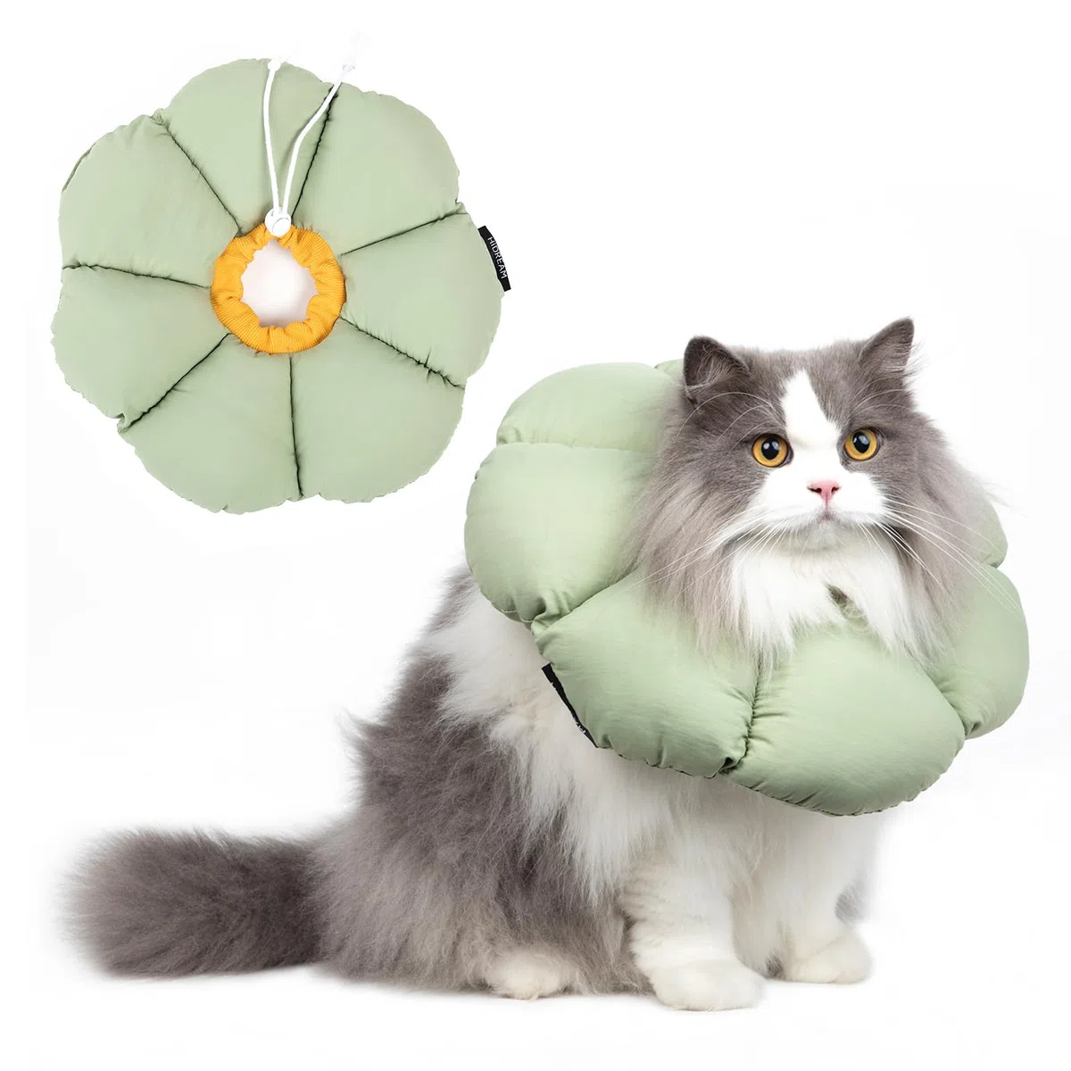 Halskrause Katze, Einstellbarer Katzenhalskragen, Weiche Blumen Katzenhalskrause Kragen Cone, für Katzen und kleine Hunde nach Operationen und Verletzungen (grüner, M)