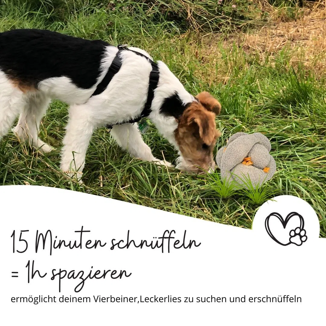 Schnüffelball für Hunde Intelligenzspielzeug für Hunde - interaktives Hundespielzeug für Beschäftigung Hunde - Hundespielzeug Intelligenz
