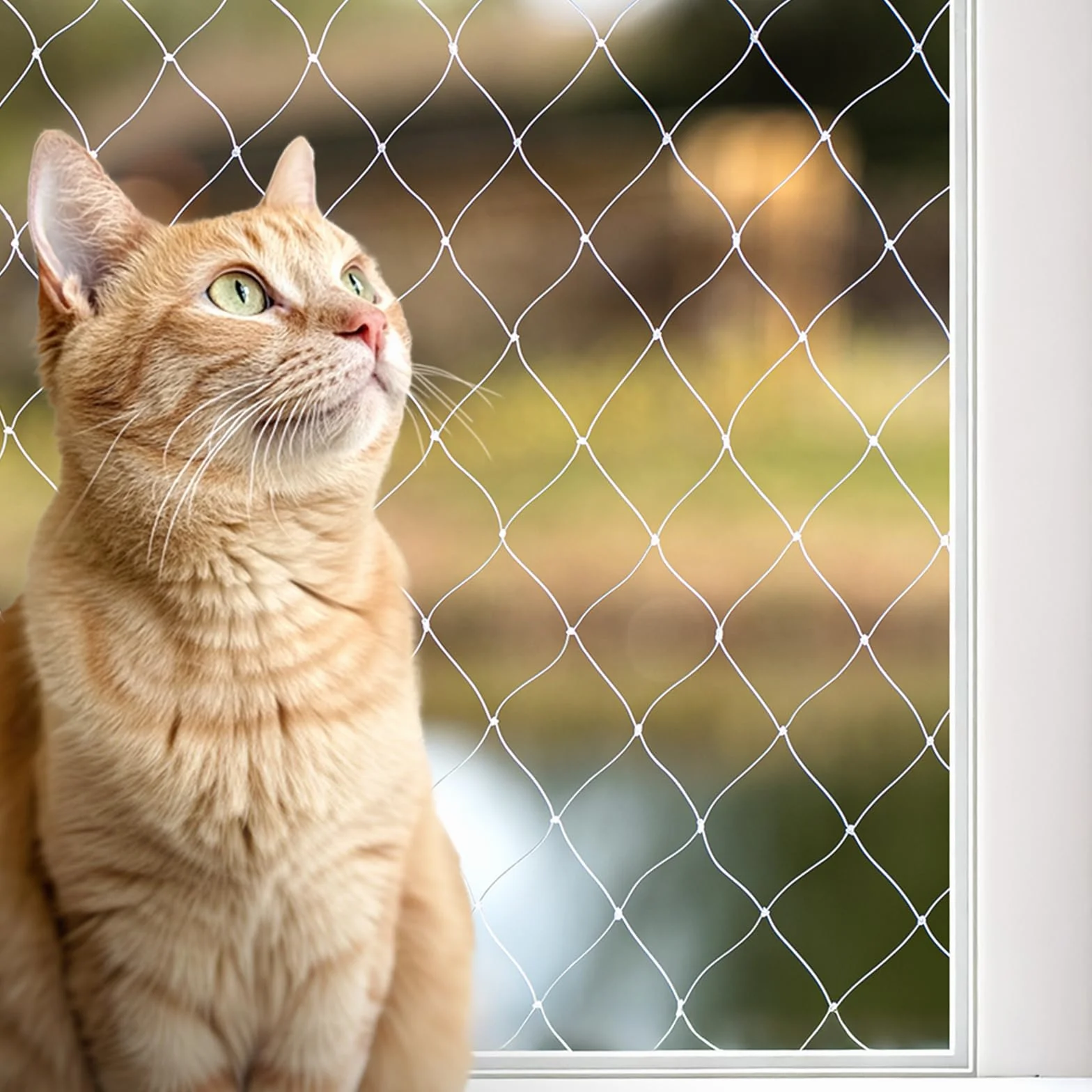 lionto Balkonschutznetz zur Sicherung von Katzen, Katzenschutznetz aus transparentem Nylon, 3x4 m, witterungsbeständiges Katzennetz zur Montage ohne Bohren, Montagematerial & Anleitung inklusive
