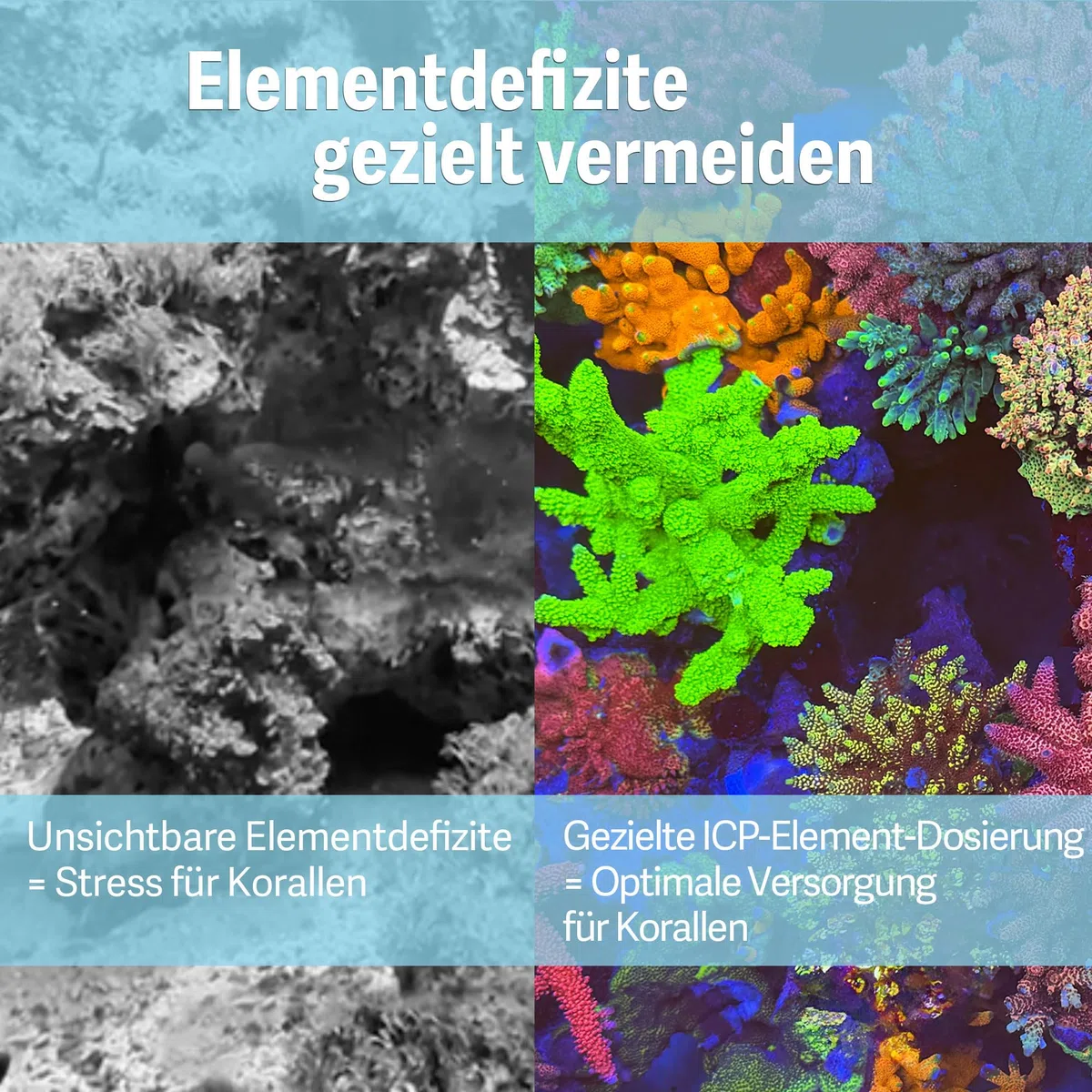 ATI ICP Element Mangan – Spurenelement für Meerwasseraquarium & Korallen, 150ml