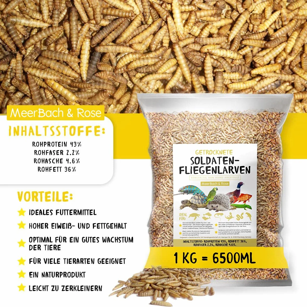 Soldatenfliegenlarven getrocknet 1kg (entspricht 13 Litern) PROTEINREICH | Ganzjähriger Insektensnack für Vögel, Fische, Schildkröten + Reptilien. MEERBACH & ROSE – Premium Qualität aus Deutschland