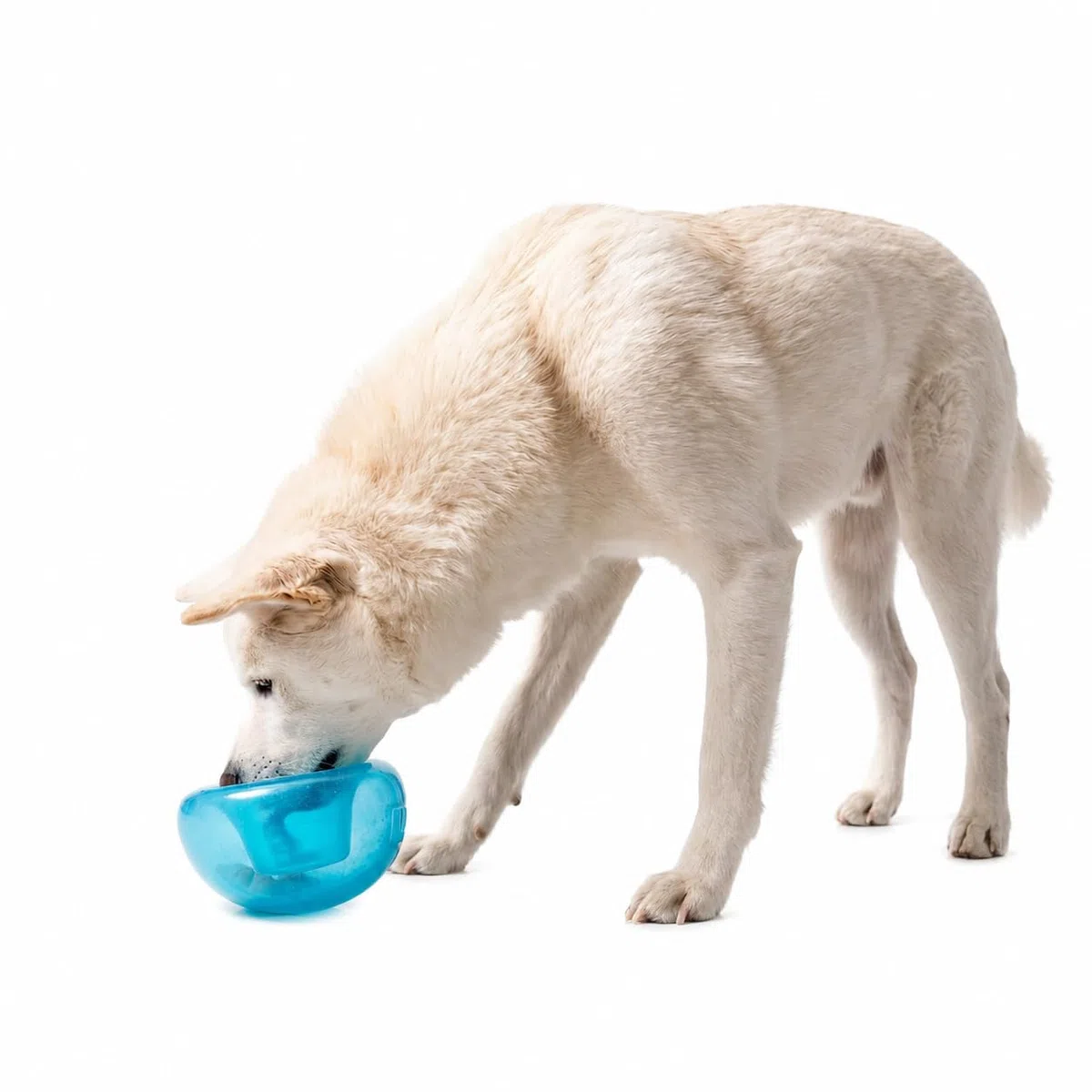 Planet Dog Orbee-Tuff Snoop - Interaktives Spielzeug für Hunde - Snackball - Blau - Groß